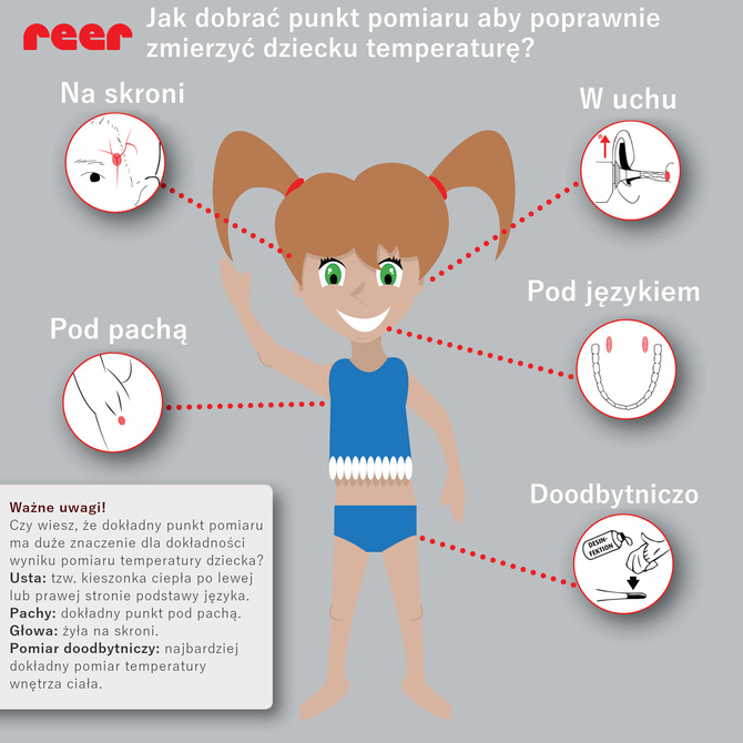 Termometr elektroniczny medyczny LCD-XL timer REER
