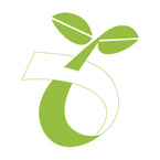 Worki biodegradowalne kompostowalne ATEST 10l 1100szt 110 rolek SIPEKO