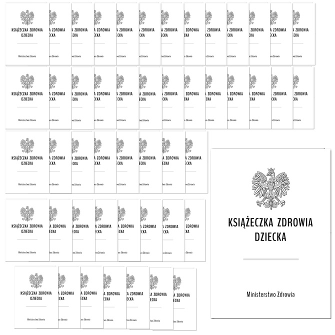 Książeczka Zdrowia Dziecka, Książeczka Szczepień A5 50 sztuk 